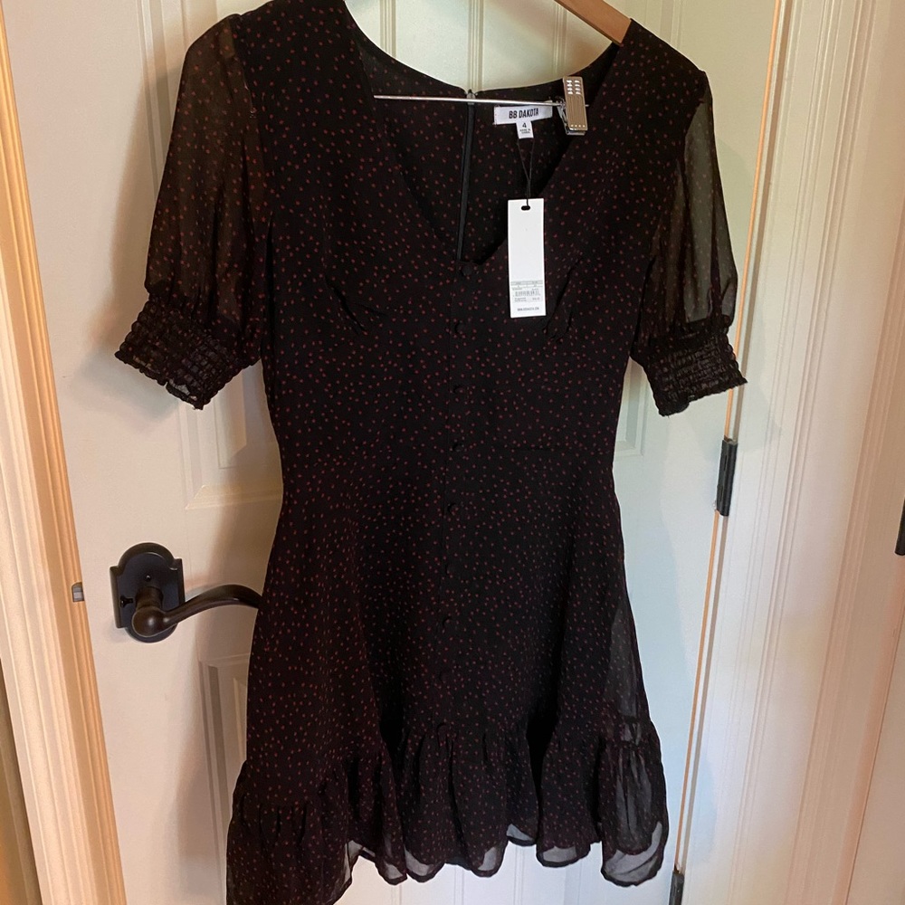 BD Dakota dress off revolve BRAND NEW!!